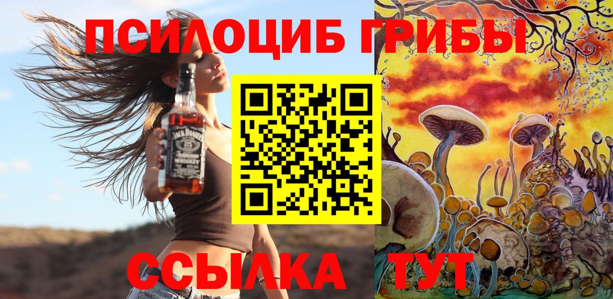 Псилоцибиновые грибы Cubensis Губкинский